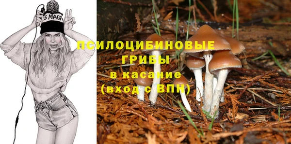 ECSTASY Магадан