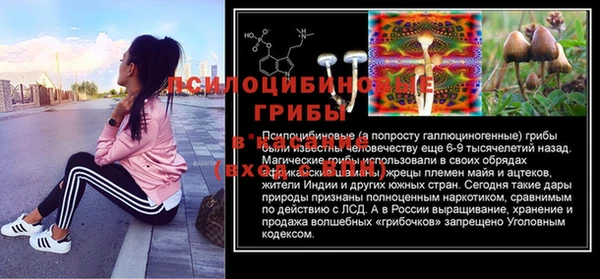 ECSTASY Магадан